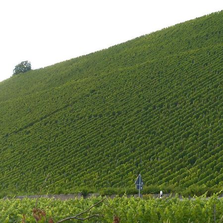 Ehemalige Rosengaertnerei Randersacker Exterior foto